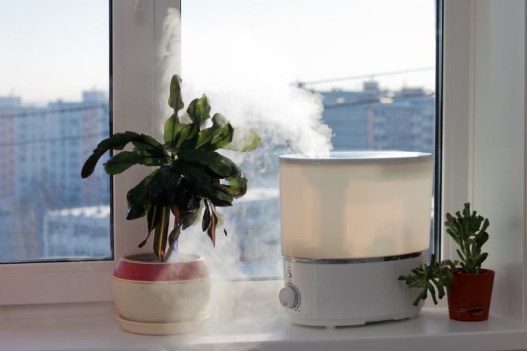 Humidificateur