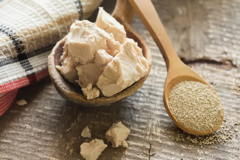 Levure - Levure nutritionnelle