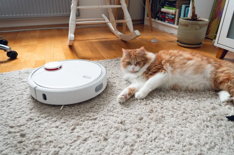 Aspirateur robot